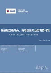 首次覆盖深度报告:钴酸锂正极龙头,高电压三元业务蓄势待发