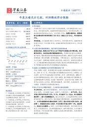 年度业绩充分兑现,利润释放符合预期