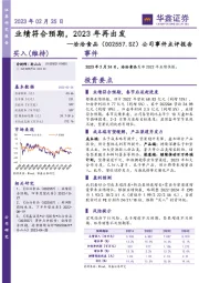 公司事件点评报告:业绩符合预期,2023年再出发