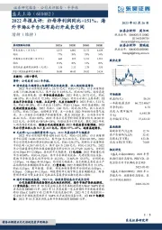 2022年报点评：归母净利润同比+151%，海外市场&平台化布局打开成长空间