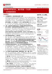 先导智能深度报告:全球锂电设备龙头,海外再造一个先导