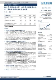 2022年业绩快报点评：归母净利润偏预告上限，看好新能源&海外市场放量