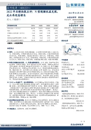 2022年业绩快报点评：N型超额收益兑现，龙头再迎高增长