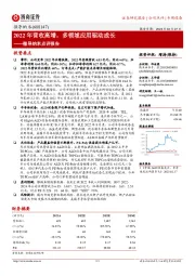 微导纳米点评报告：2022年营收高增，多领域应用驱动成长