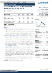 2022年业绩快报点评：业绩增长动力强劲，看好组件设备龙头平台化布局