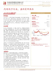 内销优于行业,盈利有所承压