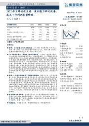 2022年业绩快报点评：盈利能力环比改善，成本下行利润有望释放