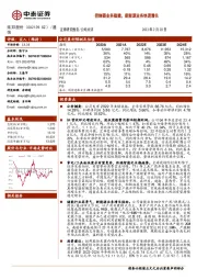 控制器业务稳健，新能源业务快速增长