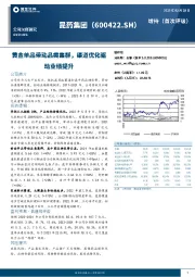 黄金单品带动品类集群，渠道优化驱动业绩提升