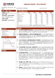 电解液溶剂龙头强者恒强，开拓多品类锂电材料