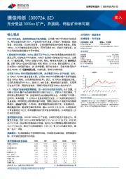 充分受益TOPCon扩产,异质结、钙钛矿未来可期
