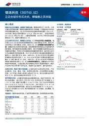 立足全球分布式光伏,乘储能之风而起