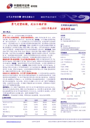 2022年报点评：景气有望延续，关注B端扩张