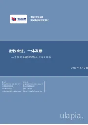 公司深度报告：衔枚疾进，一体发展