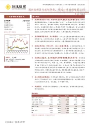 国内熔断器行业领导者，外延打开全新增长空间