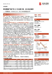 2022年年度报告点评：锂电隔膜产能扩张22年业绩大增，龙头地位稳固