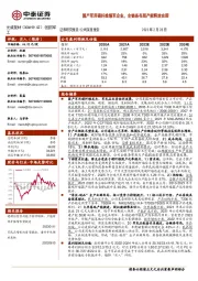 国产军用碳纤维领军企业，全链条布局产能释放在即