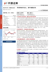 公司深度报告：异质结组件龙头，海外储能老兵