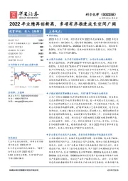 2022年业绩再创新高，多项有序推进成长空间广阔