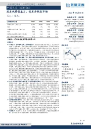 成本优势筑基石，技术升级拓市场