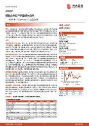 公告点评:储能业务打开长期成长空间