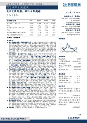 龙头无畏周期,潮退方显英雄
