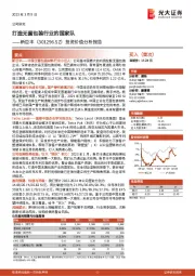 投资价值分析报告:打造无菌包装行业的国家队