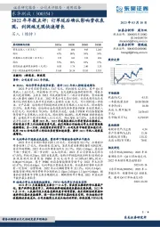 2022年年报点评：订单延后确认影响营收表现，利润端兑现快速增长