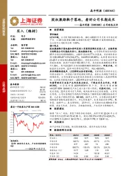 公司动态点评:股权激励靴子落地,看好公司长期成长