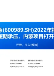 2022年报点评:Q4业绩短期承压,内蒙项目打开成长空间