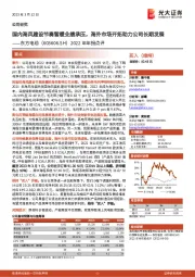 2022年年报点评：国内海风建设节奏暂缓业绩承压，海外市场开拓助力公司长期发展