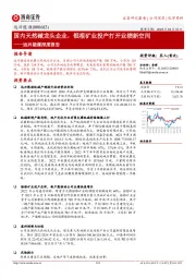 远兴能源深度报告:国内天然碱龙头企业,银根矿业投产打开业绩新空间