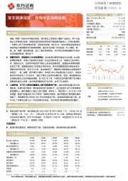 宝丰能源深度：布局绿氢高瞻远瞩