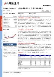 公司信息更新报告：2022业绩稳健增长，降本增效提振盈利