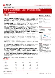 上机数控点评报告:拟更名“弘元绿色能源”;光伏一体化布局大力推进