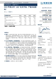 2022年报点评:ABC走向市场,产能加速落地!