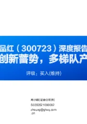 深度报告：政策与创新蓄势，多梯队产品待发
