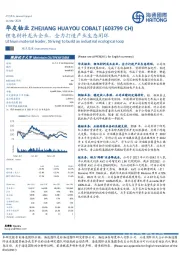 锂电材料龙头企业，全力打造产业生态闭环