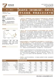 深耕白色家电连接器，新能源业务未来可期