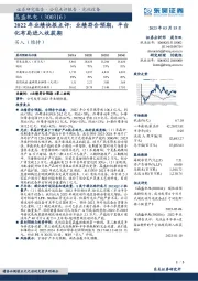 2022年业绩快报点评：业绩符合预期，平台化布局进入收获期