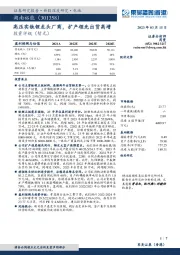 高压实铁锂龙头厂商,扩产领先出货高增