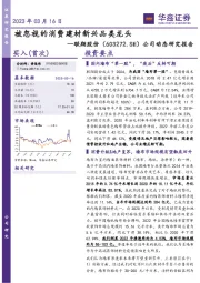 公司动态研究报告：被忽视的消费建材新兴品类龙头