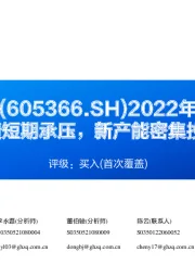 2022年报点评:Q4业绩短期承压,新产能密集投放在即