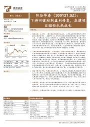 下游回暖助剂盈利修复,在建项目驱动未来成长
