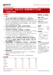 侨源股份点评报告：气体民企龙头，受益半导体、新能源等新兴产业发展