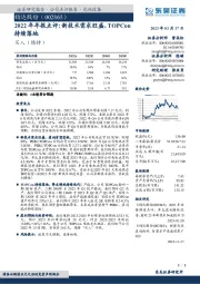 2022年年报点评:新技术需求旺盛,TOPCon持续落地