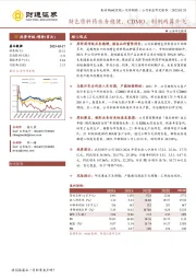 特色原料药业务稳健，CDMO、制剂两翼齐飞