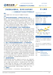 2022年年度报告点评：多因素致业绩承压，竞争实力逐年提升