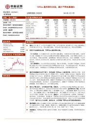 TOPCon盈利率先兑现，高扩产带来高增长