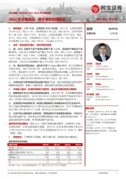 2022年年报点评:2022年业绩承压,降本增效继续推进